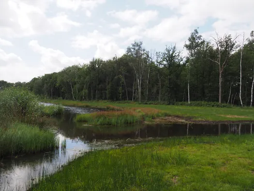 Fietsen en wandelen door het water van de Wijers, Bokrijk (België)
